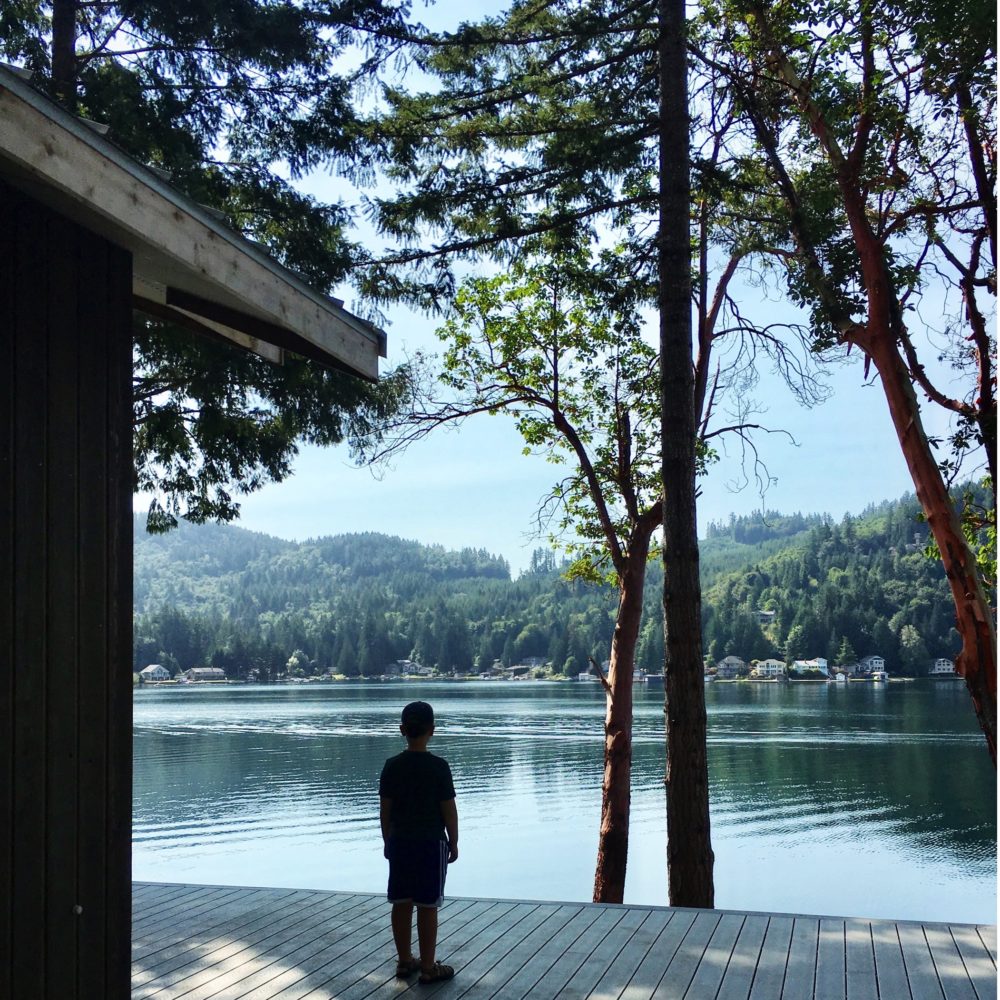 A view of the lake from the cabin.