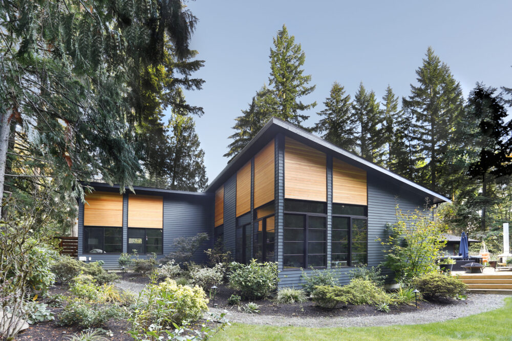 An overview of the back of the house.